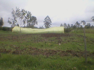 Photo-0023the greenhouse damaged by the wind
