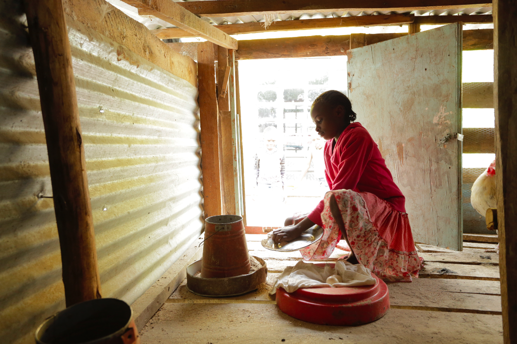 chickencoopwatotohome