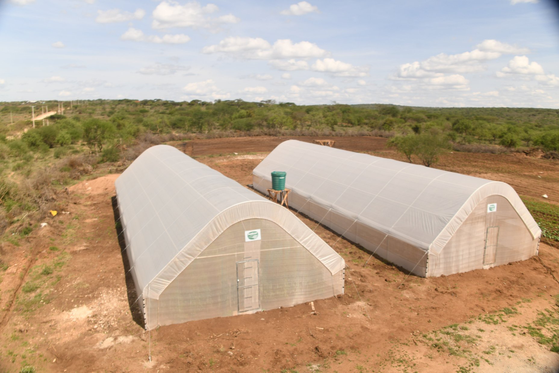 Greenhouse at Mother Esther