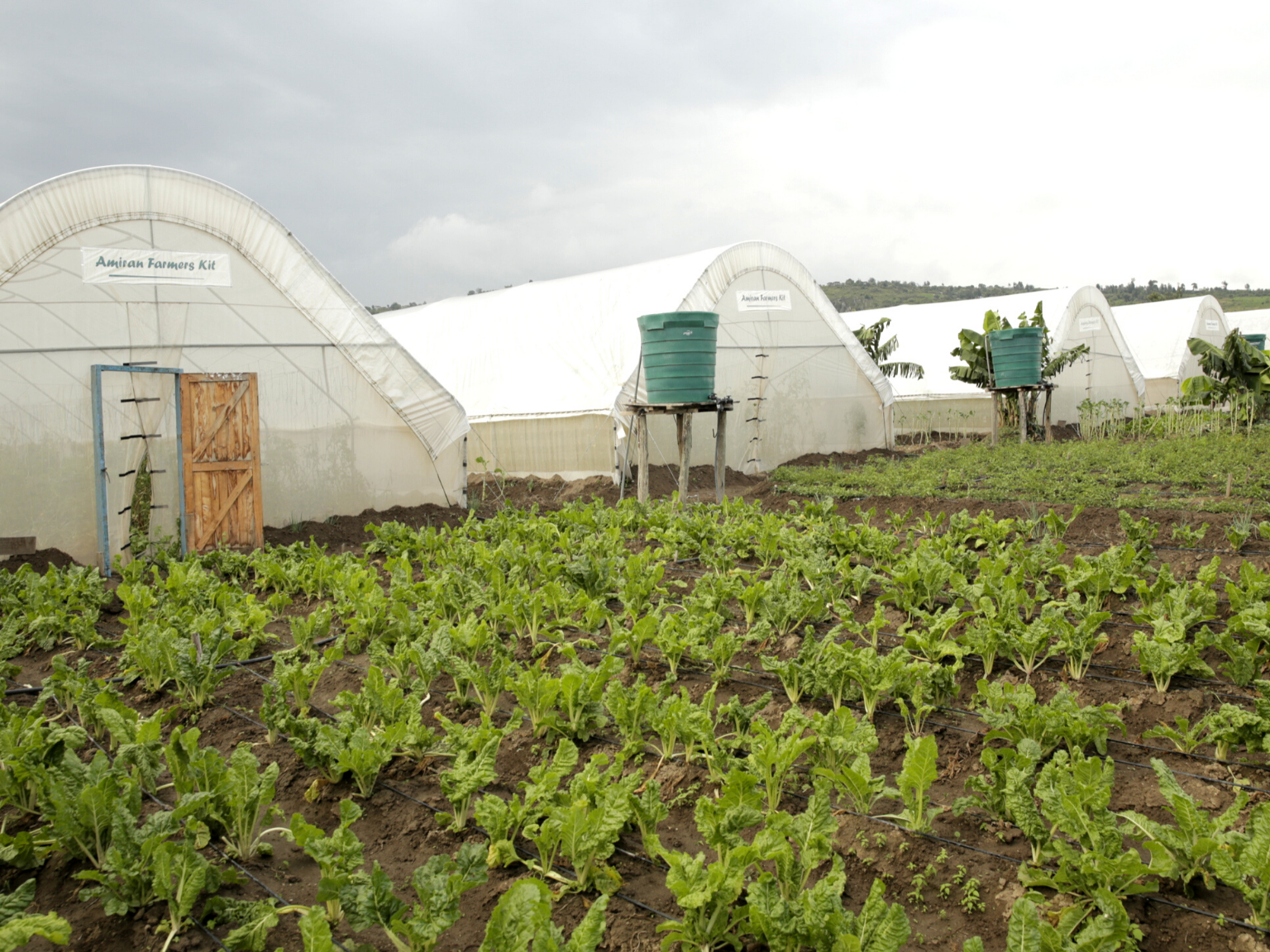 5 Greenhouses at Fiwagoh Children’s Center & Boarding School