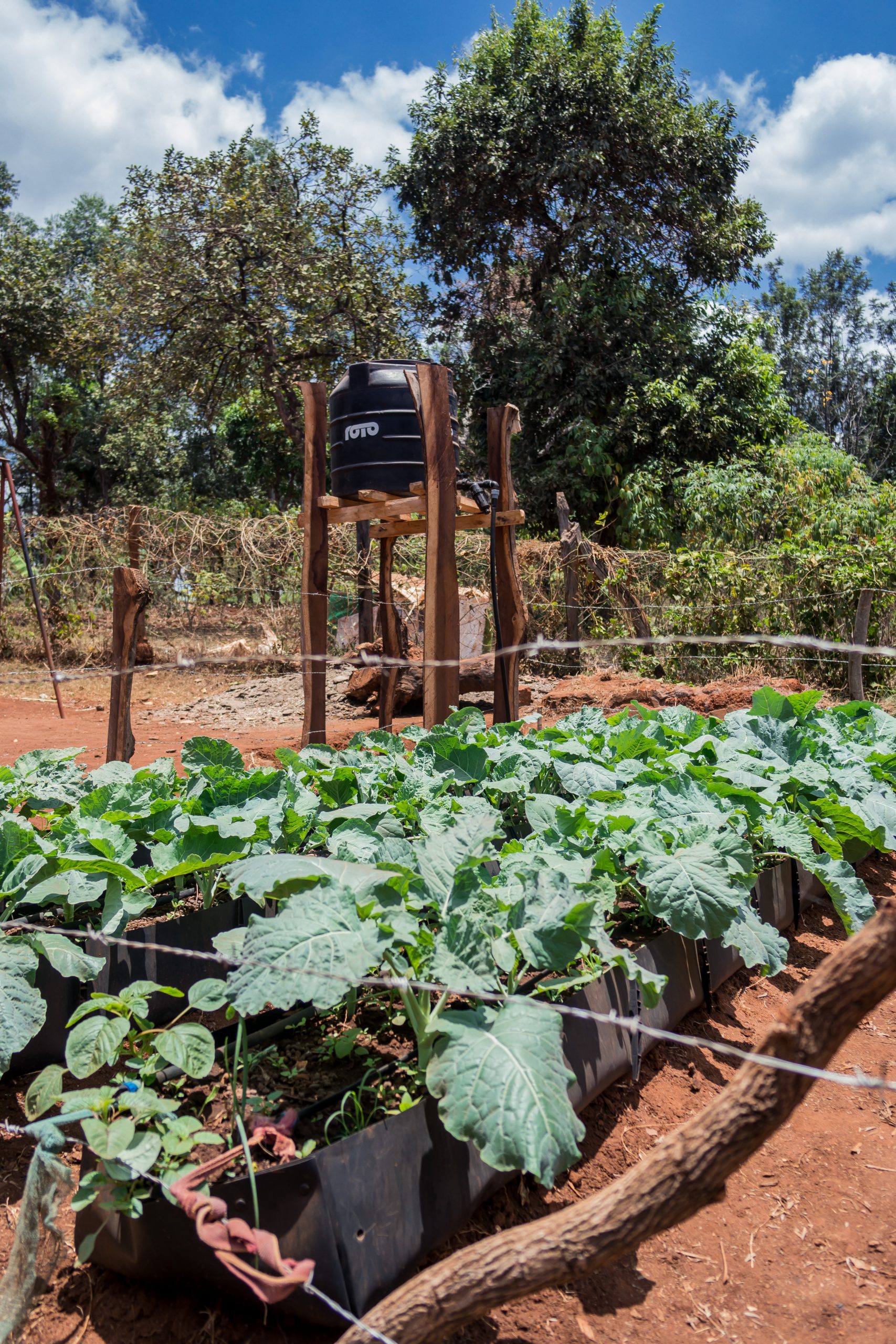 Small Farm Drip Irrigation at Tumaini Itugururu Children Center