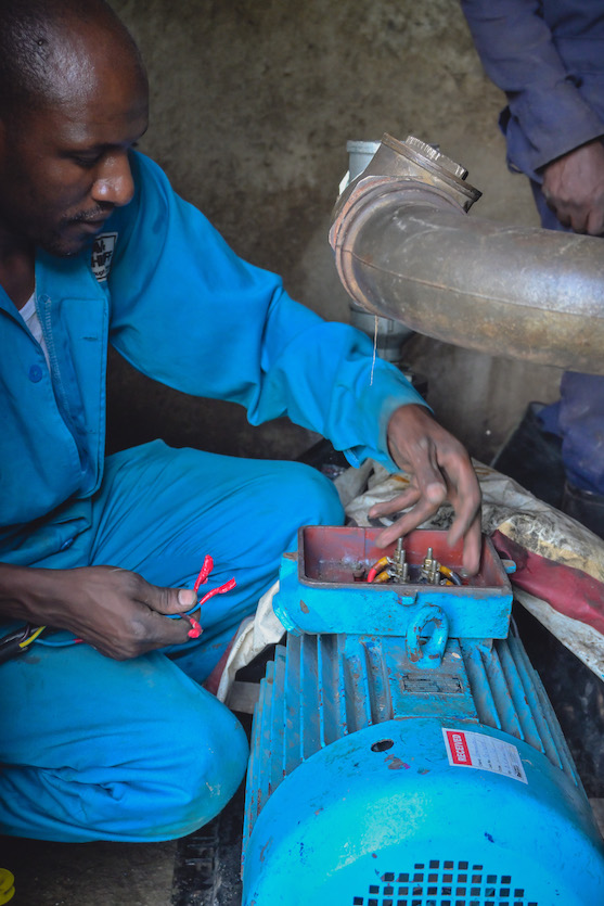 Solar grid expansion at Mother Esther Rescue Center